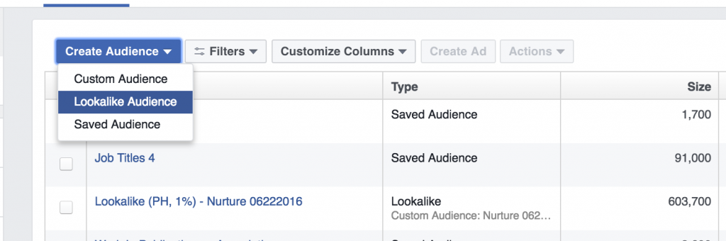 Targeting Lookalike Audience to build Facebook Audience